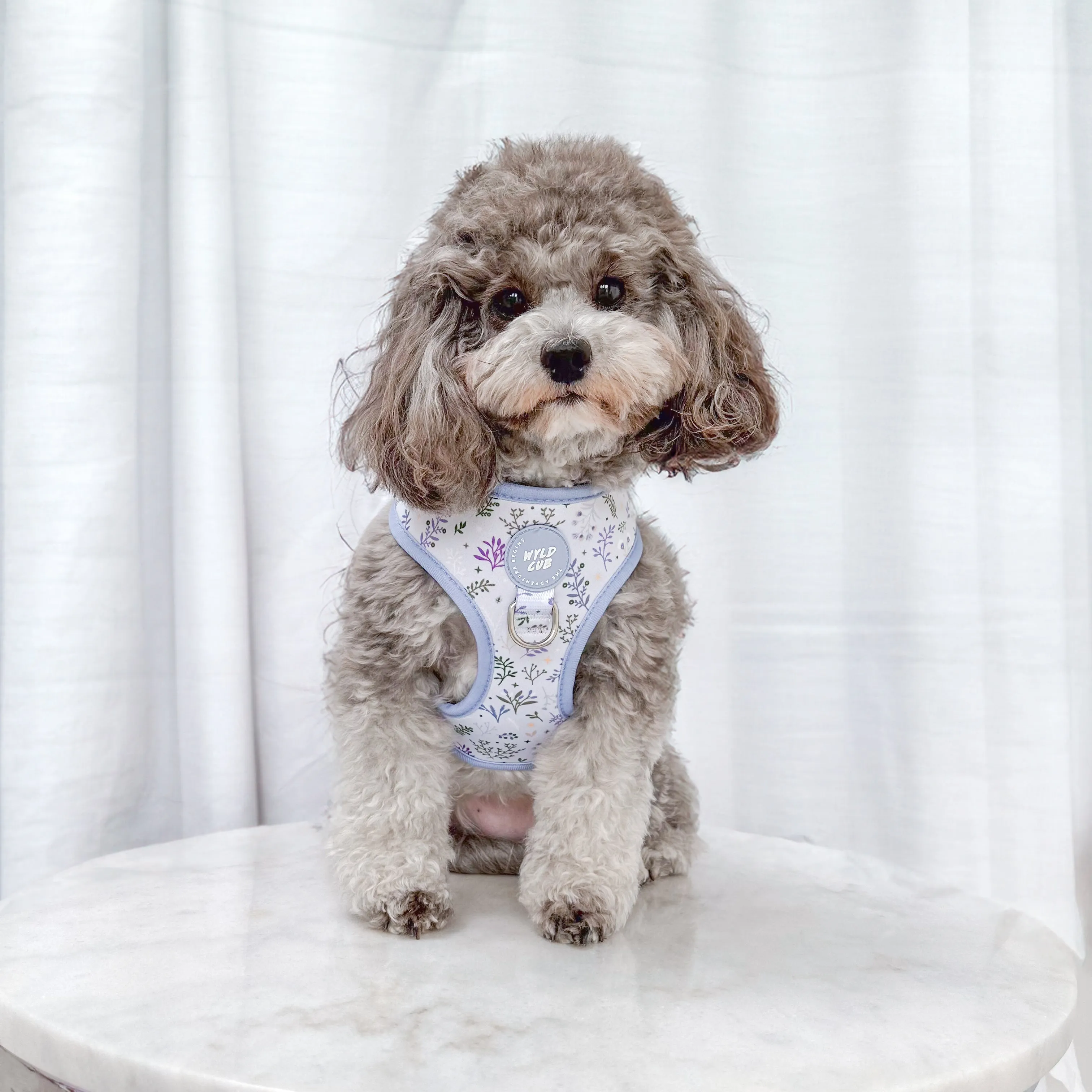 Adjustable Dog Harness: Chiswick Thistle