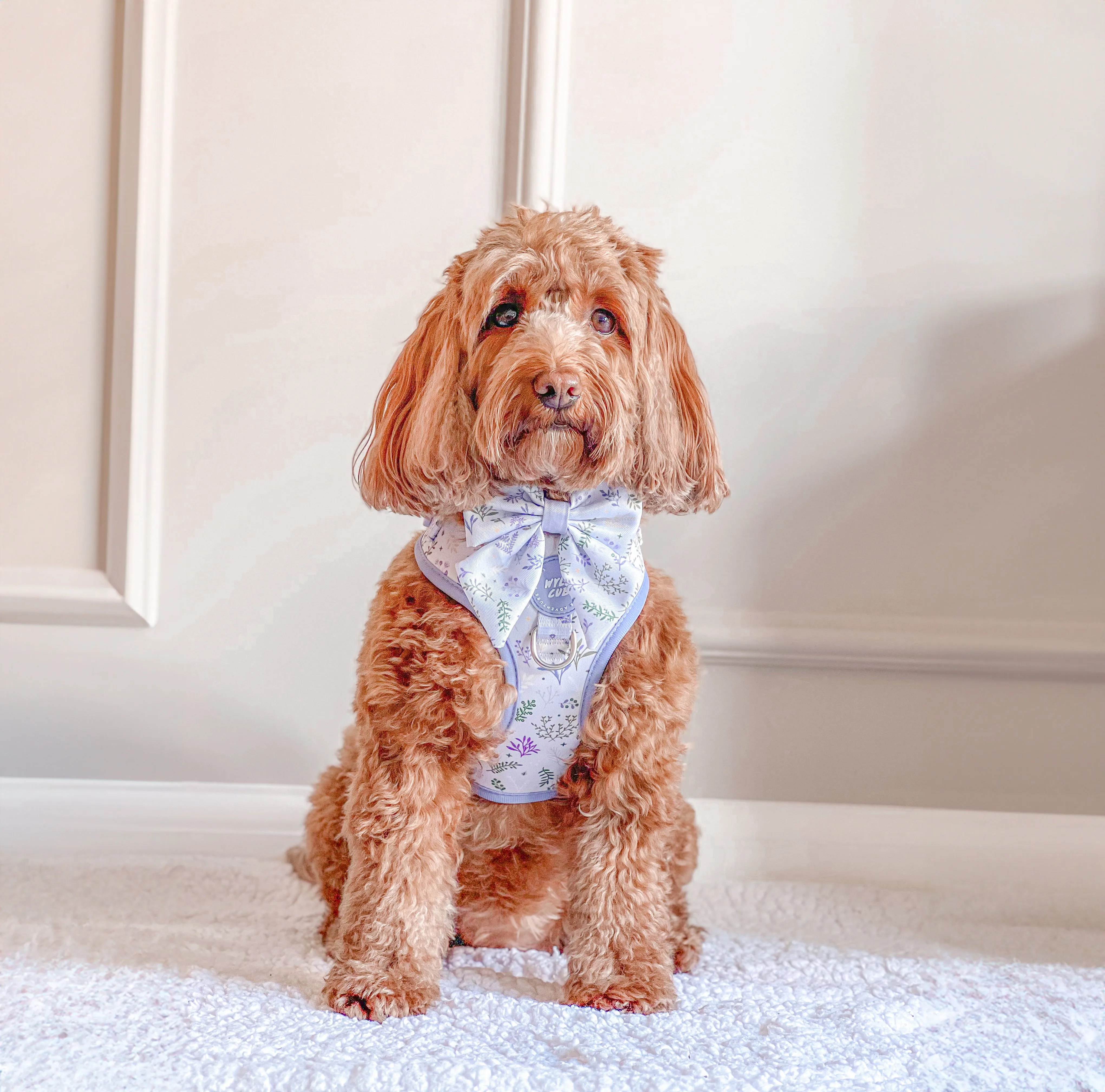 Adjustable Dog Harness: Chiswick Thistle