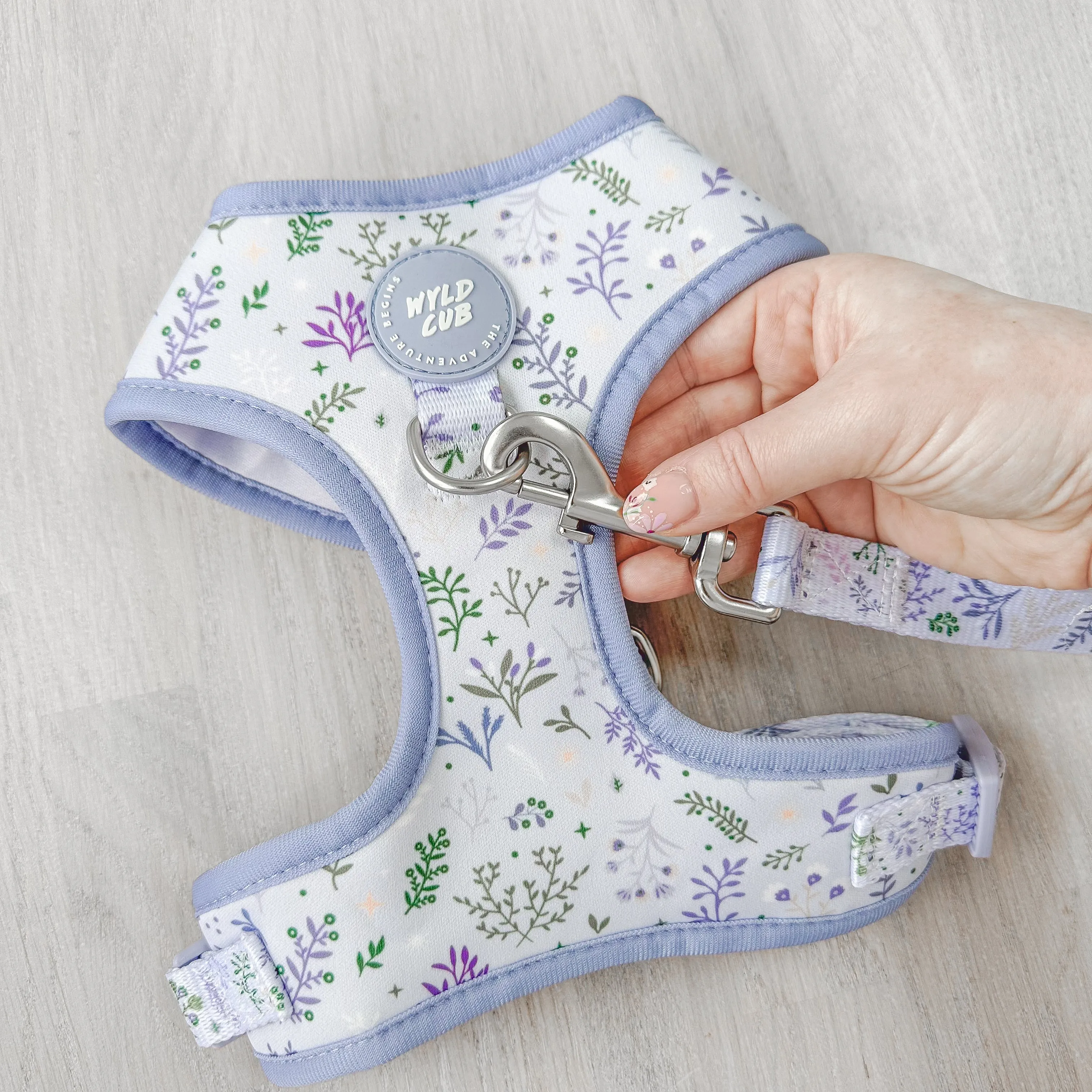 Adjustable Dog Harness: Chiswick Thistle