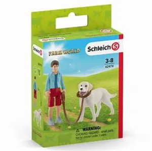 BGSCH42478 Walking w/Labrador Retriever