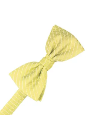 Buttercup Palermo Kids Bow Tie