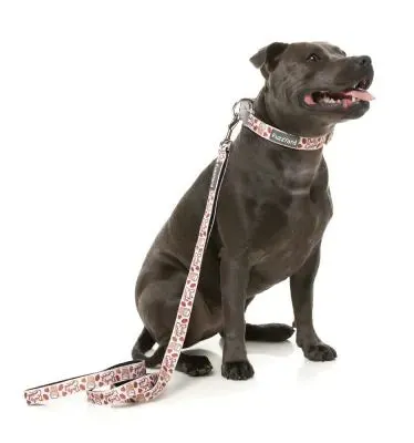 Daily Grind Dog Lead