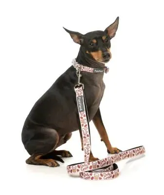 Daily Grind Dog Lead