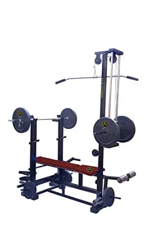 GOLD FITNESS Muscle Gaining Multipurpose 20 in 1 Decline Bench Gym Equipment ( 2 x 2 Strong Iron Pipe, Black)