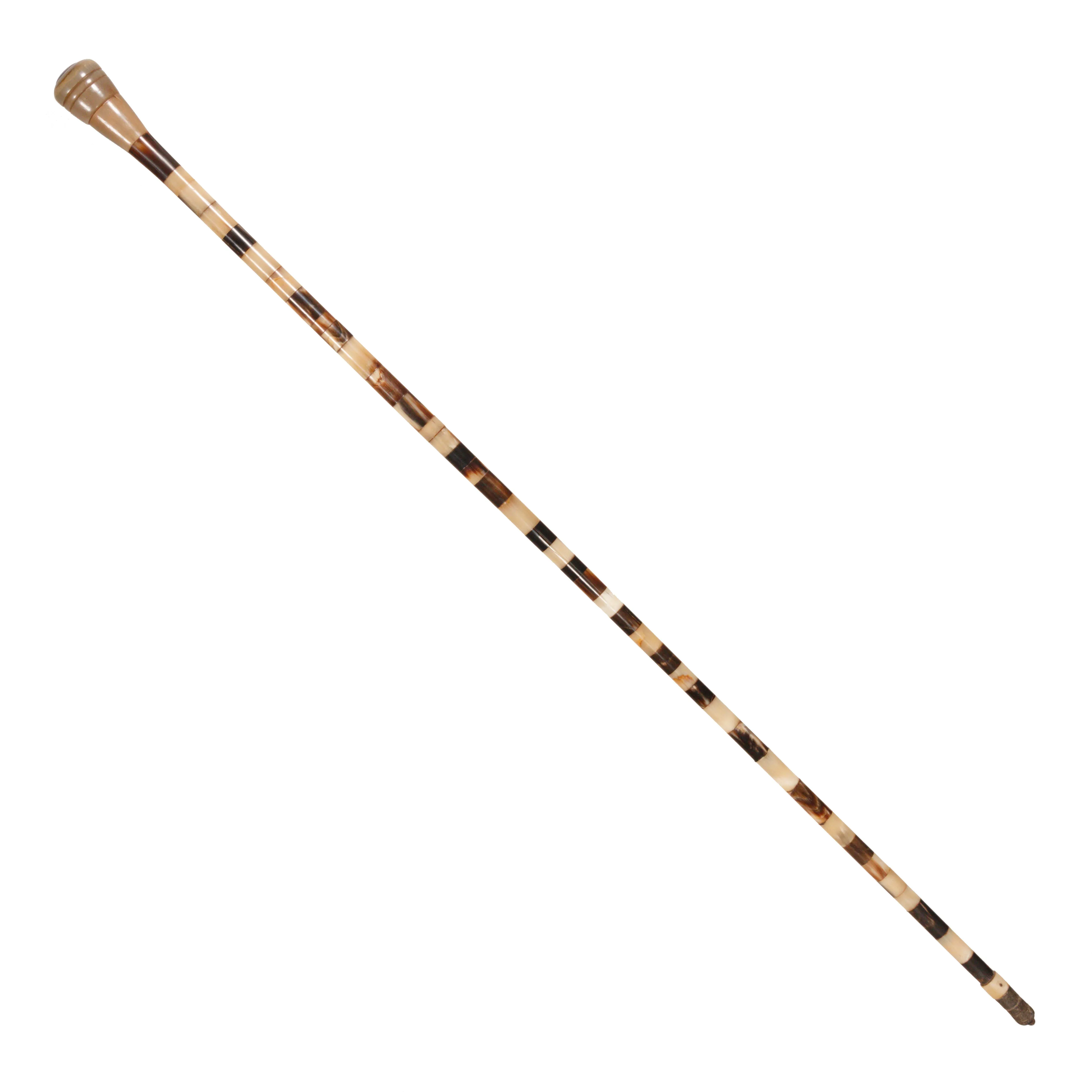 Horn Walking Stick