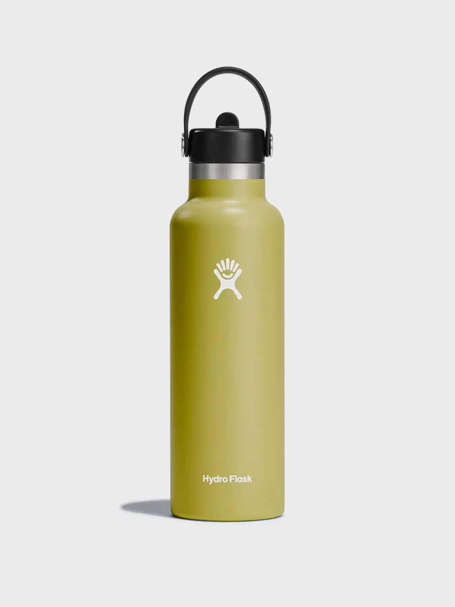 Hydration 21oz Standard Mouth With Flex Straw Cap