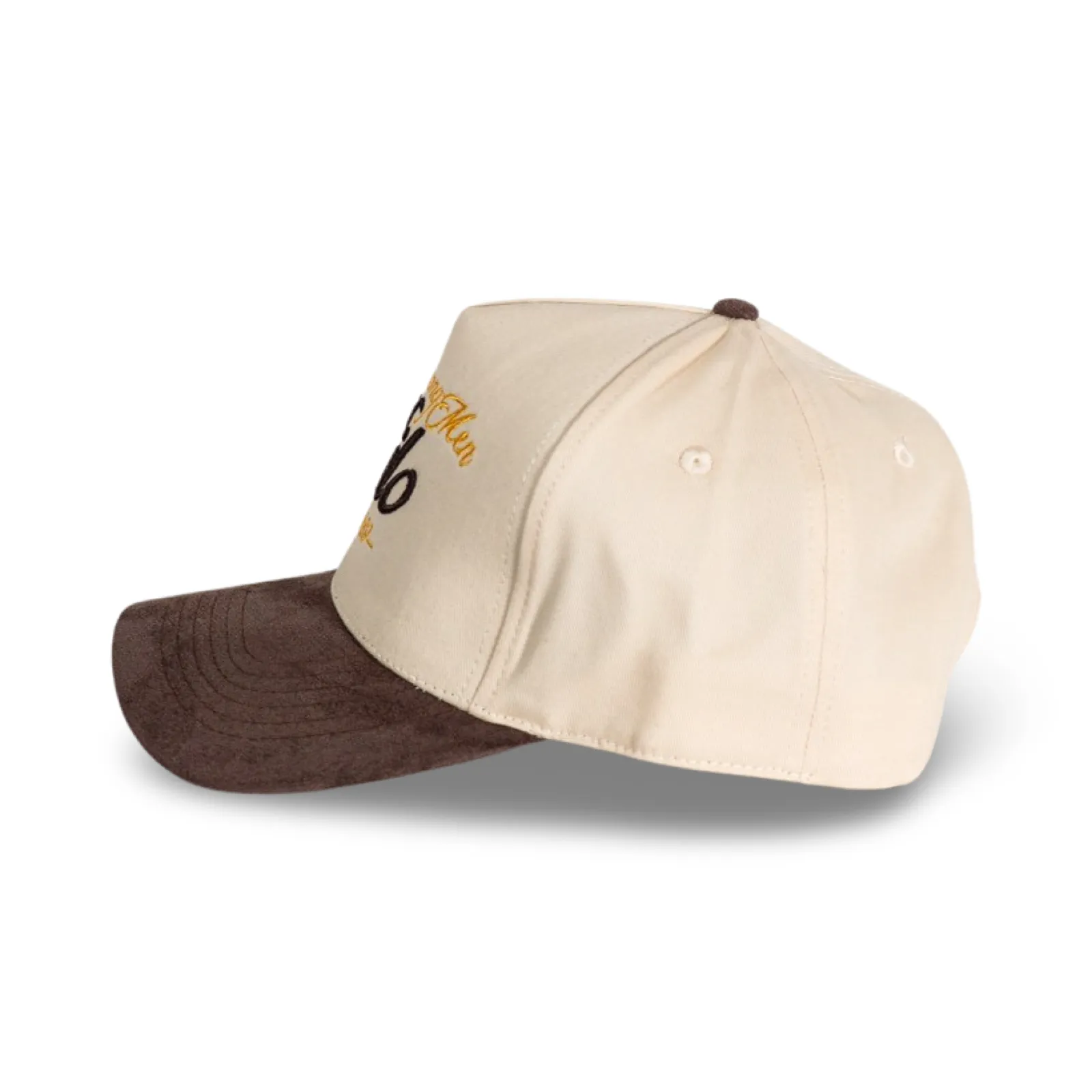 Lions Among Men Snapback