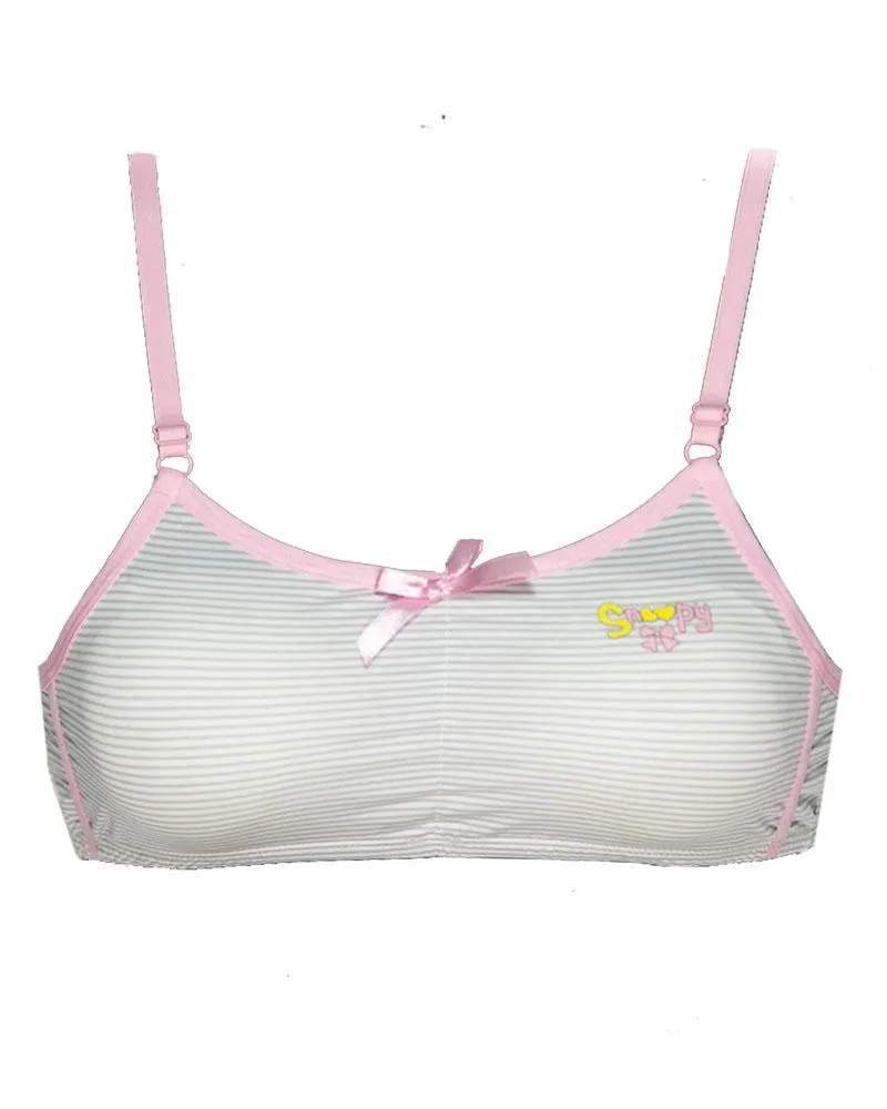 Pack of 3 -  Comforts Cotton Bra for Women