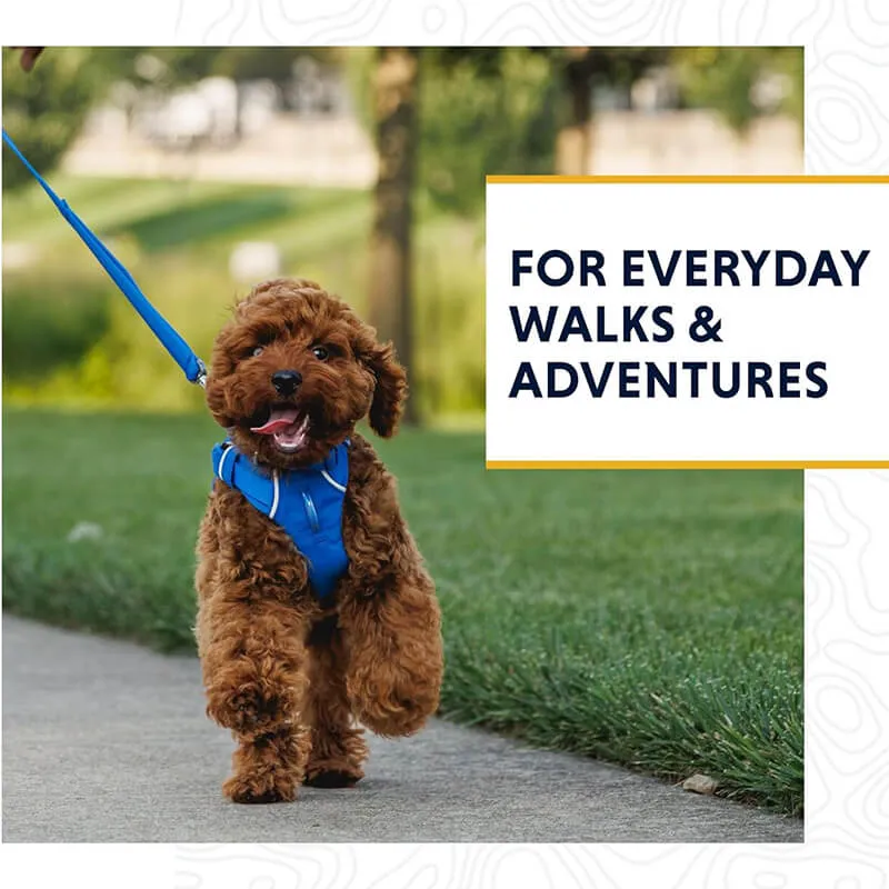 Ruffwear Front Range Leash