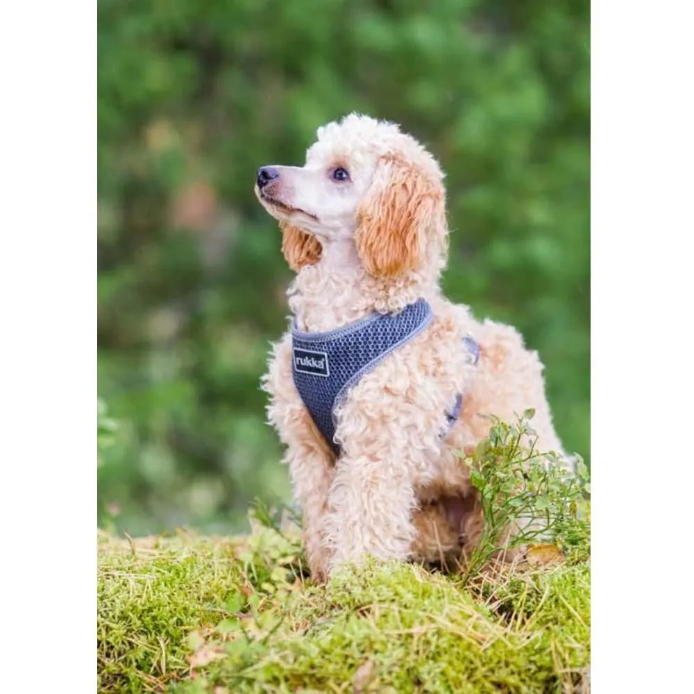 Rukka Pets Comfort Air Grey Dog Harness