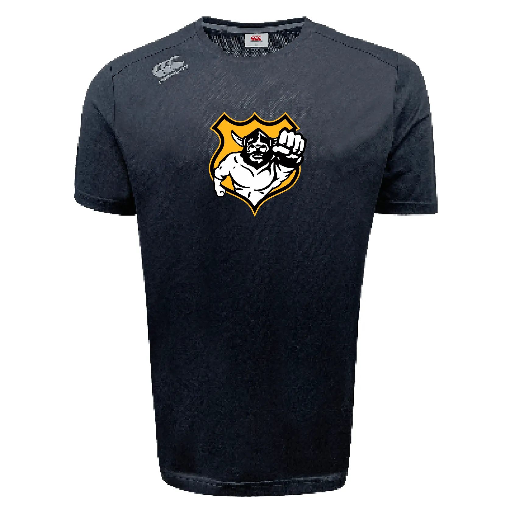 Seattle Vikings Rugby Tempo Vapodri T-Shirt by Canterbury