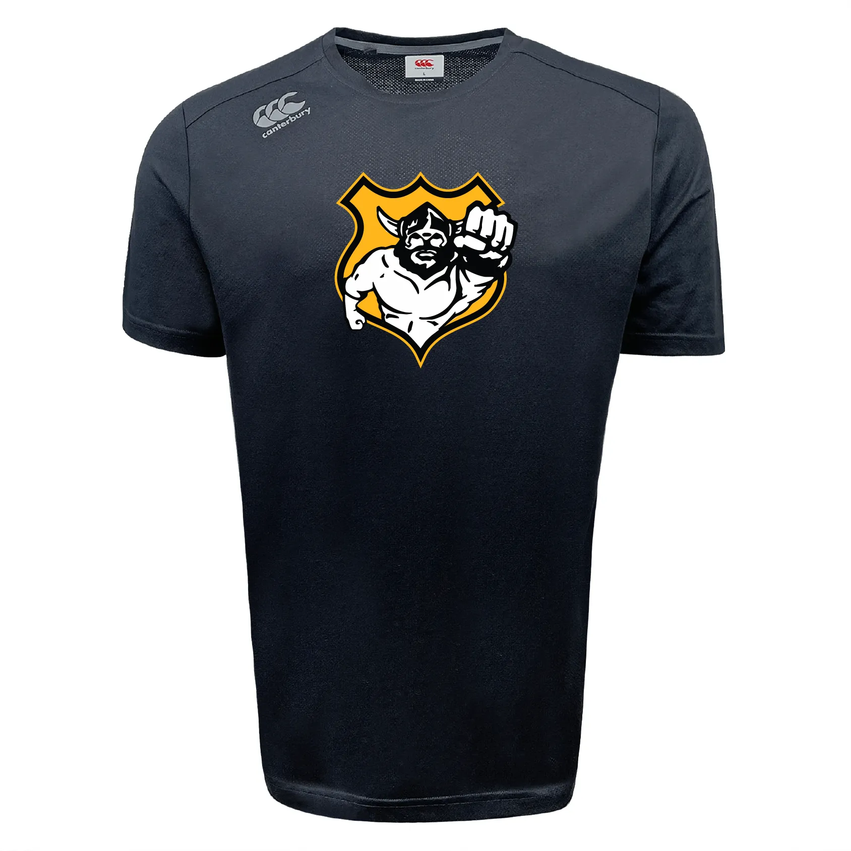 Seattle Vikings Rugby Tempo Vapodri T-Shirt by Canterbury