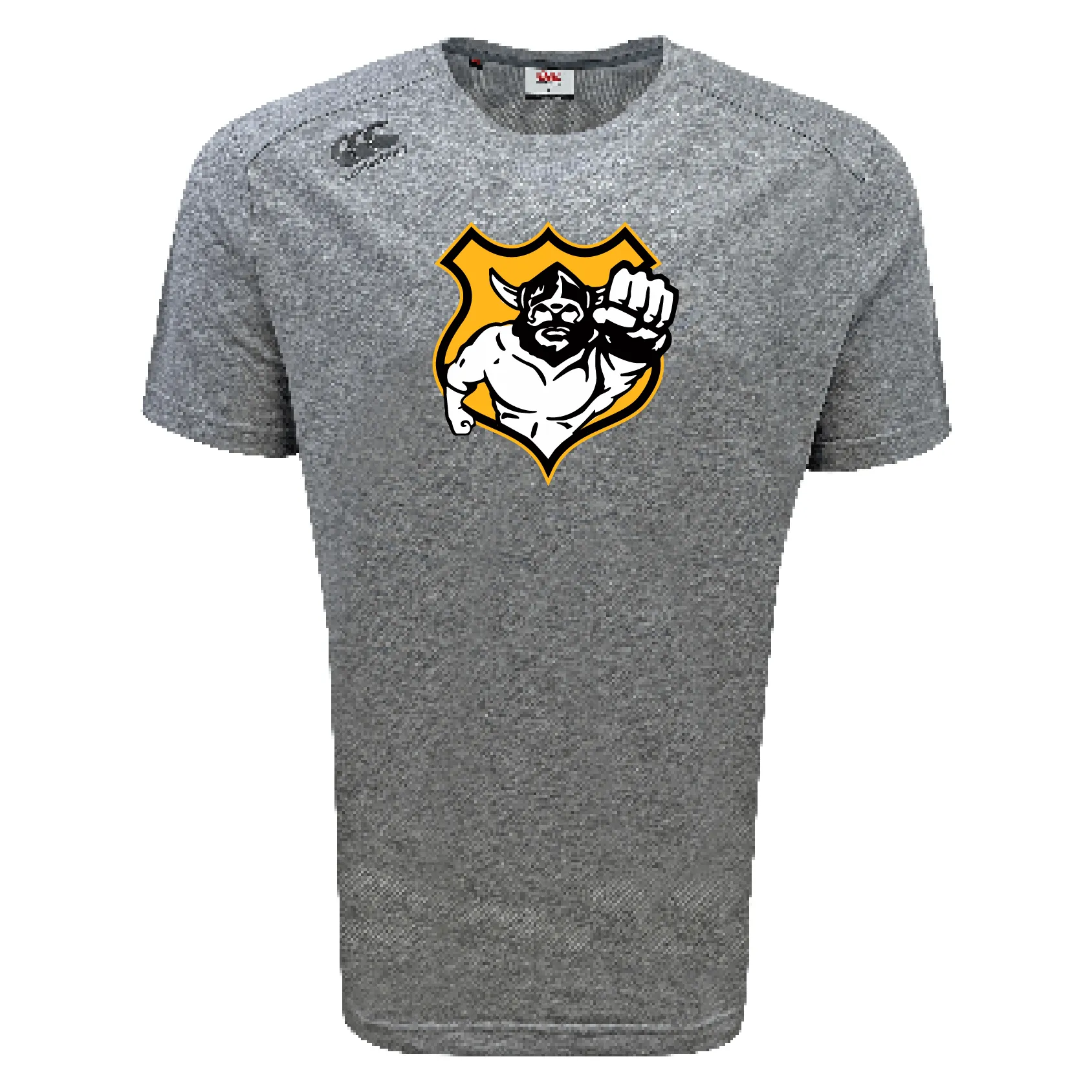 Seattle Vikings Rugby Tempo Vapodri T-Shirt by Canterbury