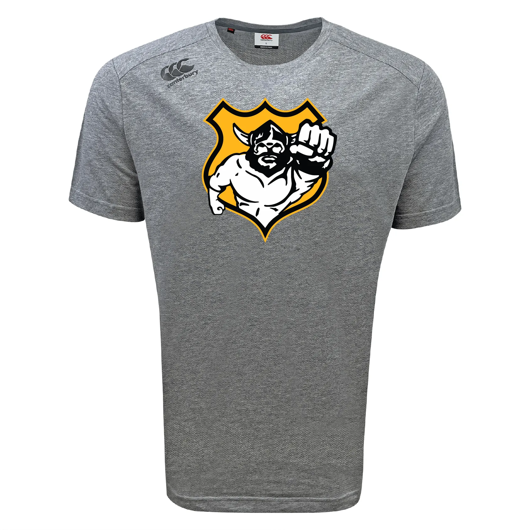 Seattle Vikings Rugby Tempo Vapodri T-Shirt by Canterbury