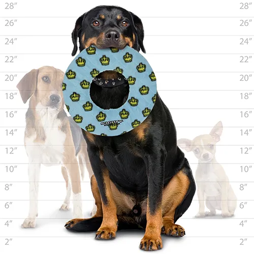 Tuffy Dog Toys - VIP Products - Mighty Ring - Blue, Durable, Squeaky Dog Toy, No Stuffing