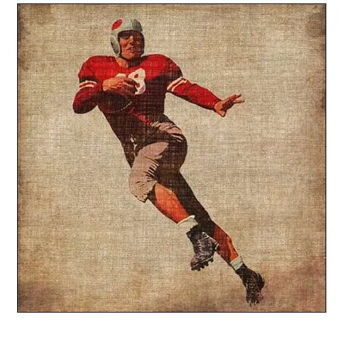 Vintage Sports IV