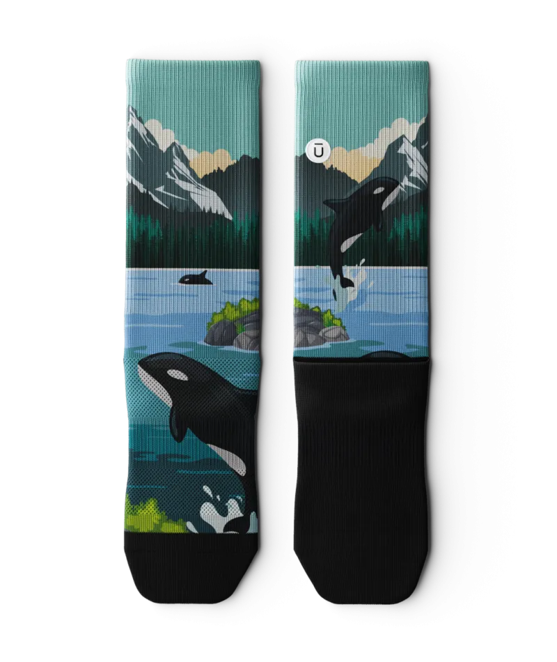 We The North Crew Sock 3-Pack