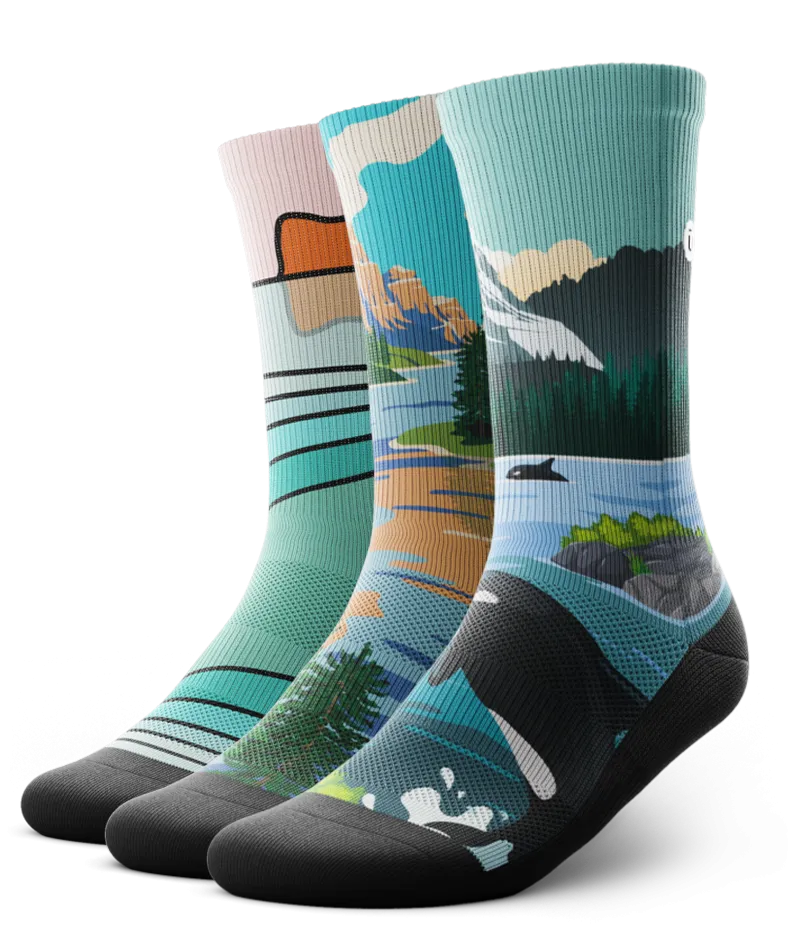 We The North Crew Sock 3-Pack