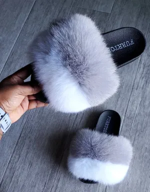 WHITE AND GREY FOXY